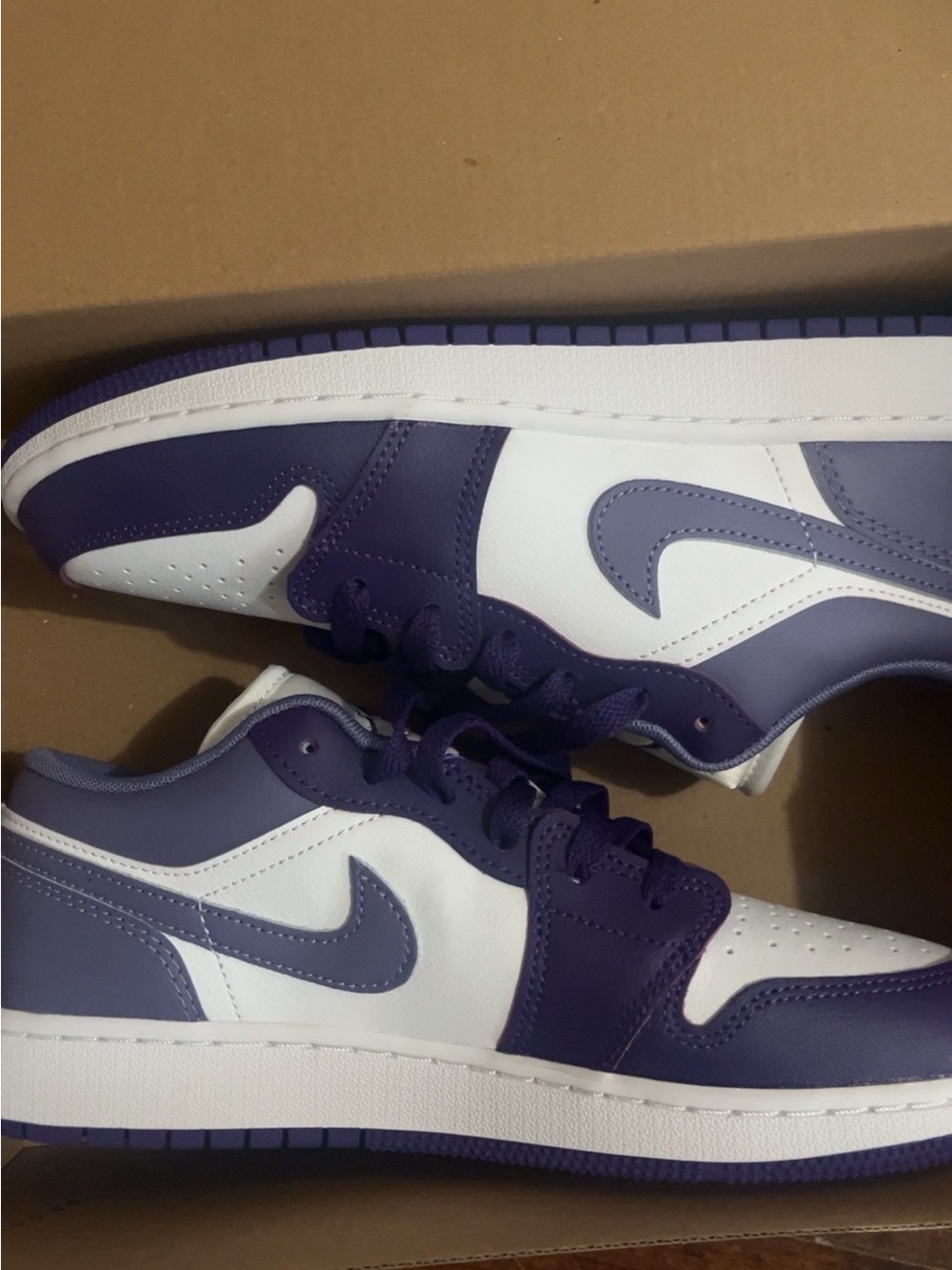 Jordan Women’s Purple and White Low Sneakers